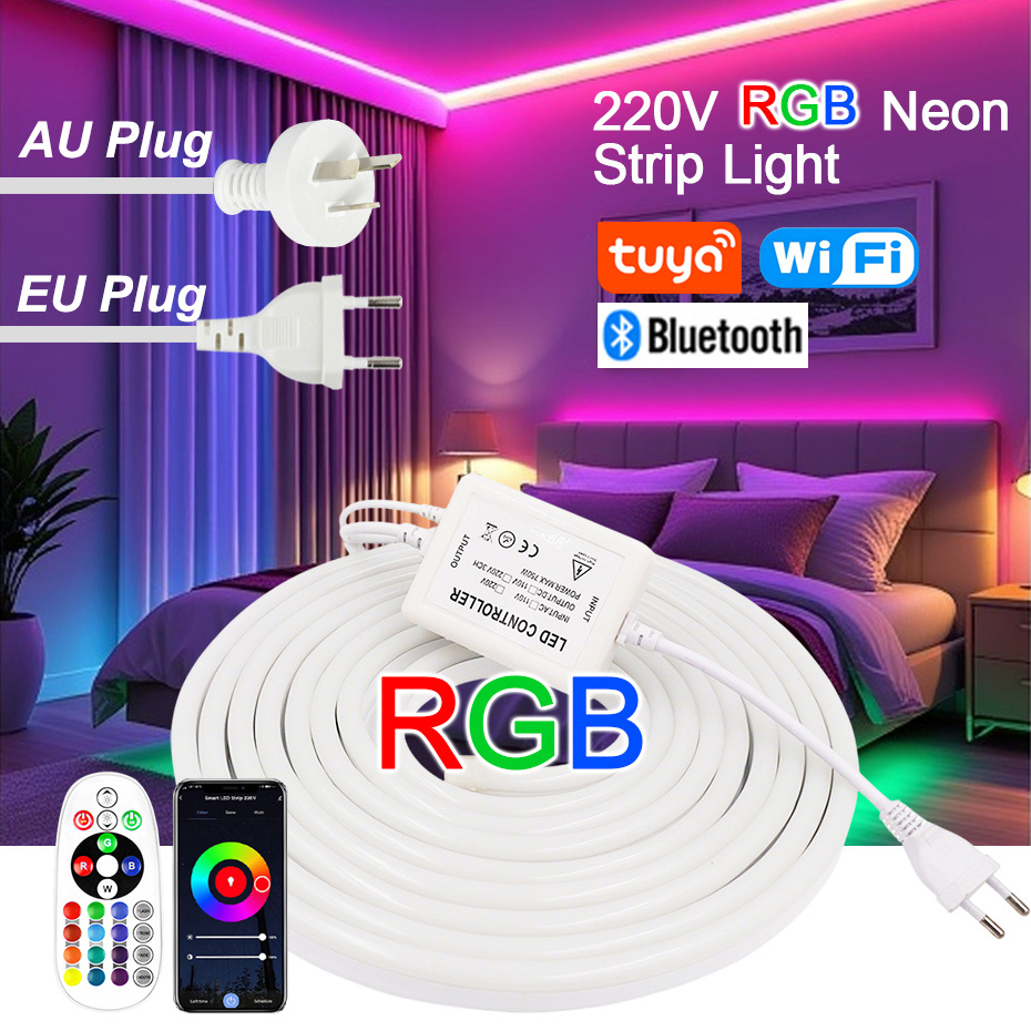 Outdoor Lighting Timer Switch - 220V RGB LED ネオンストリップ EU AU